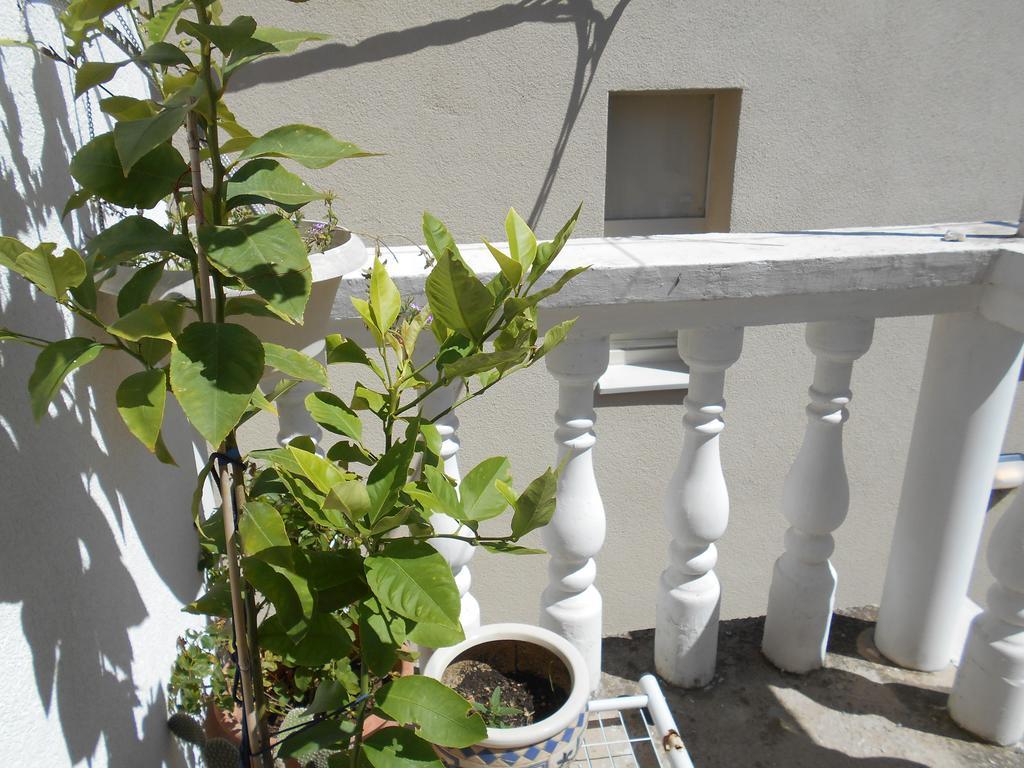 Apartments Ema Šibenik Kültér fotó